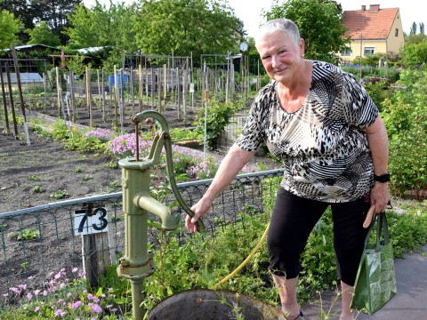 Obfrau Gertrude Vollmar